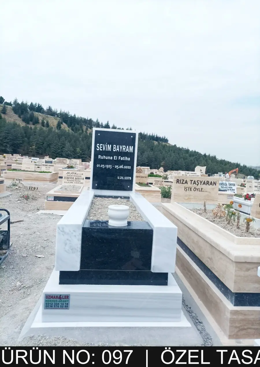 Özel Tasarım model 43